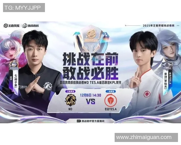 王者荣耀灵活性排行榜揭晓RNG战队荣登第六名引发热议实时新闻