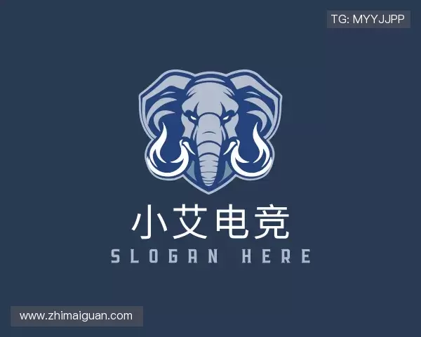 关于小艾电竞